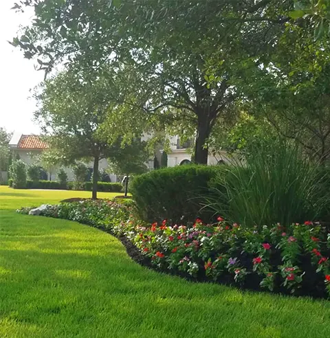 Landscape Maintenance, College Station, TX