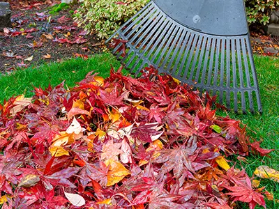 Seasonal Cleanup and Care Services, College Station, TX